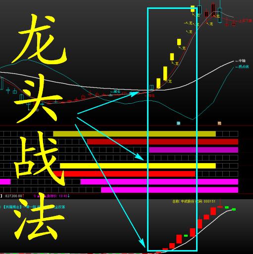 龙头战法的精髓是什么(龙头战法的前世今生)