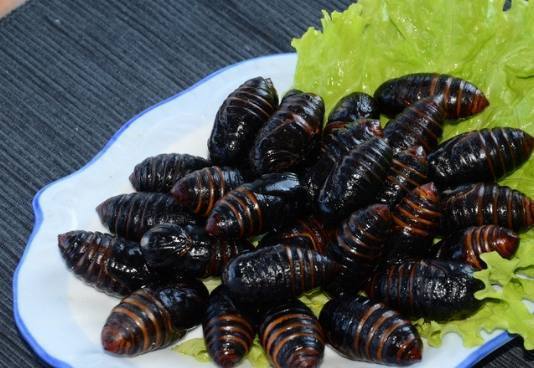 中国最难吃的十大食物 十大禁止恐怖食物