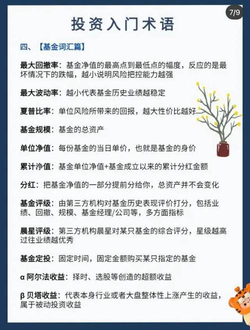 基金常用术语解释 基金38个术语-第1张图片-知源网